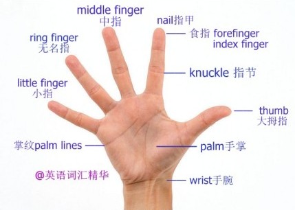 ÿ����˼�ʻ㣺&ldquo;��&rdquo;�еĴʻ�