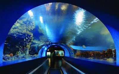 Beijing Aquarium