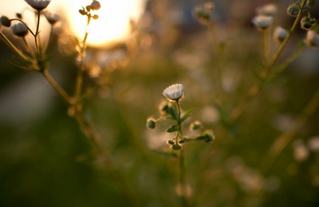 ��ѧӢ���������������ܹ�ʽ