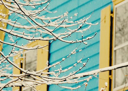 2013��12��Ӣ���ļ�������������Ԥ������