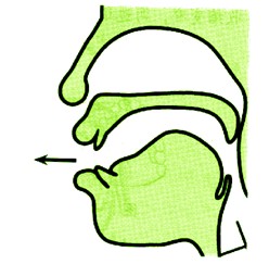 Ӣ�����귢������