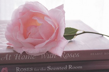 2014��Ӣ��ר�Ŀ���д��������