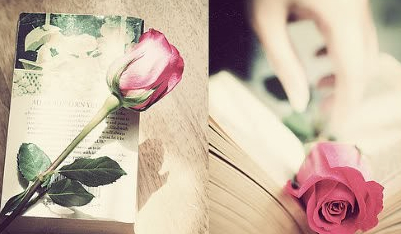 2014��6��Ӣ����������Ԥ�⣺լ�ڼ���