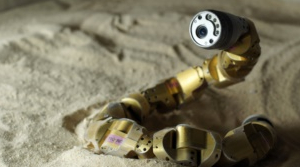 Snake Robot Acts Like Real Snake