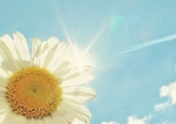 ��ẺӢ��� д���ص�Ӣ��