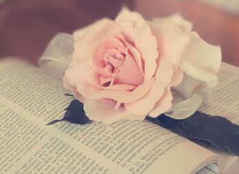 2015���ļ����ڹ��ԣ�ǿ���ʻ�