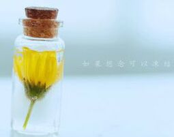 2016����Ӣ������㶨���ε�16������