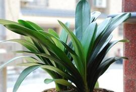 ����ϰ������ 893 to no avail