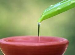 ����ϰ������ 901 tried and true