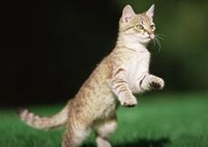 ����ϰ������ 905 come unglued