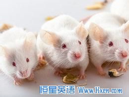 News Plus����Ӣ��:������й��˶�����δ�����ֹ� ʵ�鶯��������������޶�