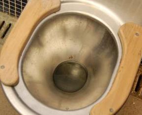 ���ǽ���Ӣ���253��:Down the pan ������