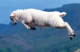 ���ǽ���Ӣ���267��:Full of the joys of spring �ǳ�����