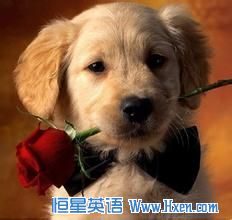 �ص�����������ϰ:����������㲻��