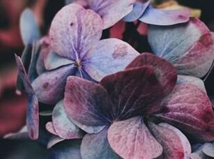 ר�˷��룺���ݴʷ��������С����