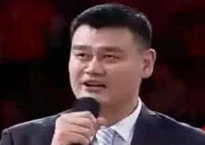 Ҧ�����������ݽ���Ӣ˫��������