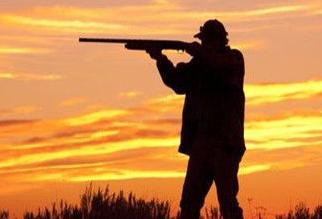 ʵս�����龰�Ի� ��1342��:Guns, Cars and Kisses ǹ֧,����������(1)