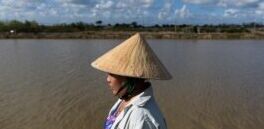 ����仯��ʹԽ��ˮ����ֲ�߸�Ϊ��Ϻ